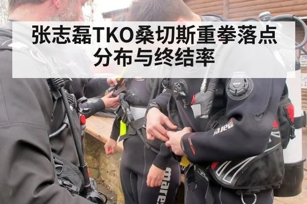 张志磊TKO桑切斯重拳落点分布与终结率